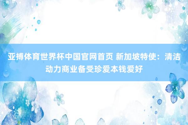 亚搏体育世界杯中国官网首页 新加坡特使:清洁动力商业备受珍爱本钱爱好