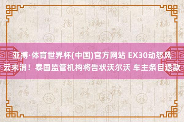 亚搏·体育世界杯(中国)官方网站 EX30动怒风云未消!泰国监管机构将告状沃尔沃 车主条目退款