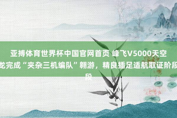 亚搏体育世界杯中国官网首页 峰飞V5000天空龙完成“夹杂三机编队”翱游，精良插足适航取证阶段