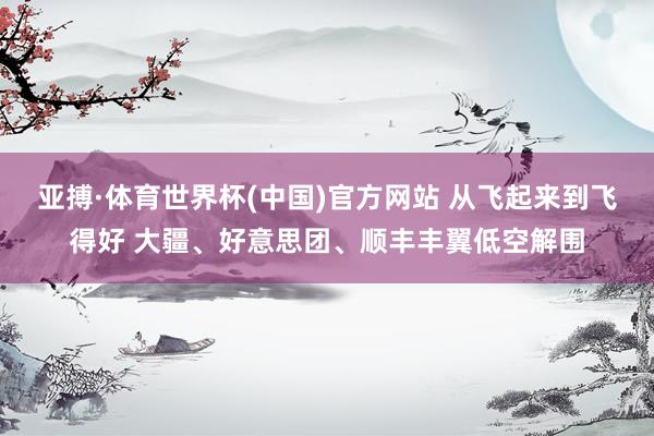 亚搏·体育世界杯(中国)官方网站 从飞起来到飞得好 大疆、好意思团、顺丰丰翼低空解围