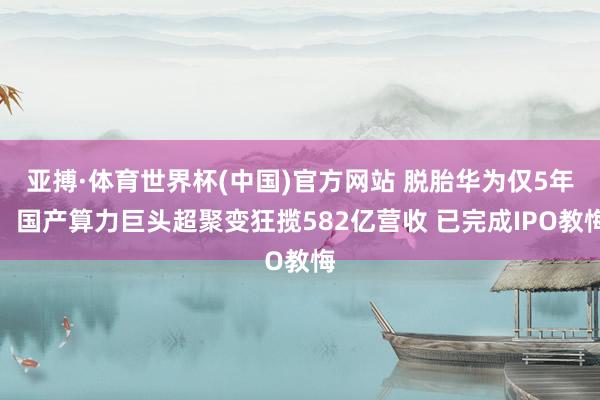 亚搏·体育世界杯(中国)官方网站 脱胎华为仅5年!国产算力巨头超聚变狂揽582亿营收 已完成IPO教悔