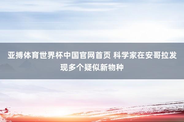 亚搏体育世界杯中国官网首页 科学家在安哥拉发现多个疑似新物种