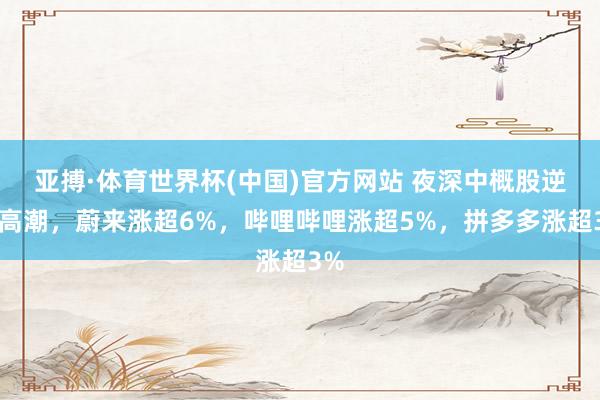 亚搏·体育世界杯(中国)官方网站 夜深中概股逆势高潮,蔚来涨超6%,哔哩哔哩涨超5%,拼多多涨超3%