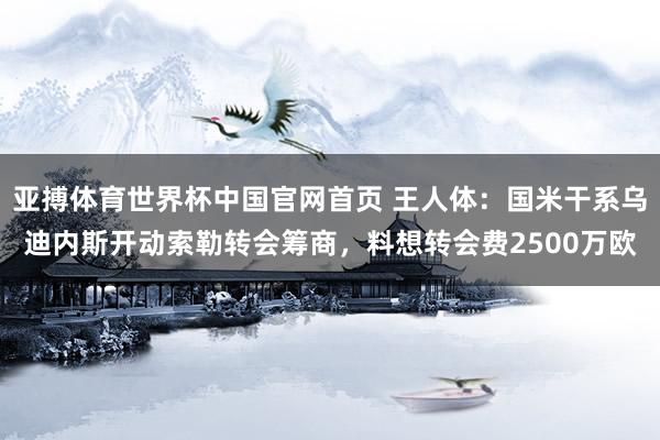亚搏体育世界杯中国官网首页 王人体：国米干系乌迪内斯开动索勒转会筹商，料想转会费2500万欧