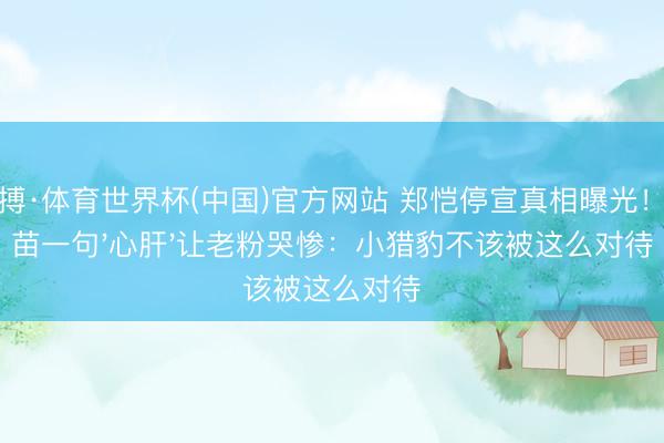 亚搏·体育世界杯(中国)官方网站 郑恺停宣真相曝光！苗苗一句'心肝'让老粉哭惨：小猎豹不该被这么对待
