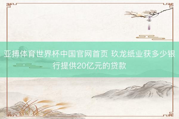 亚搏体育世界杯中国官网首页 玖龙纸业获多少银行提供20亿元的贷款