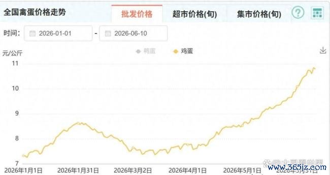 鸡蛋为什么启动“贵过肉” 供需错配推高价钱