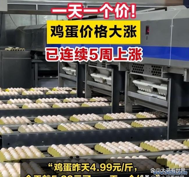 鸡蛋为什么启动“贵过肉” 供需错配推高价钱
